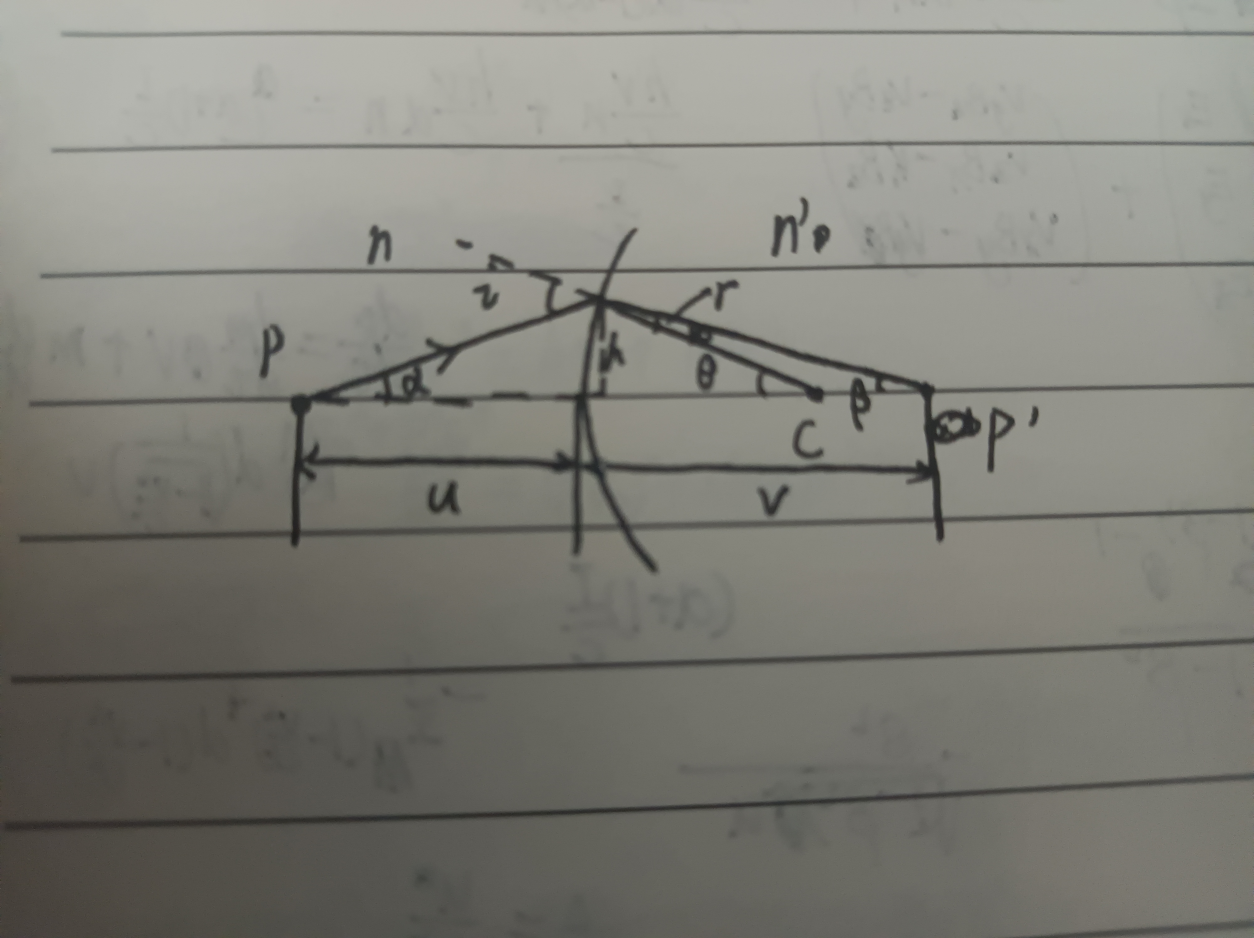 1787236015647.jpg