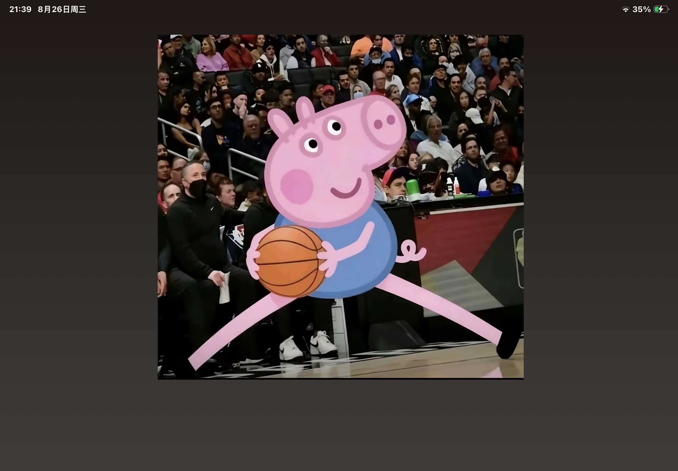 IMG_1137.png