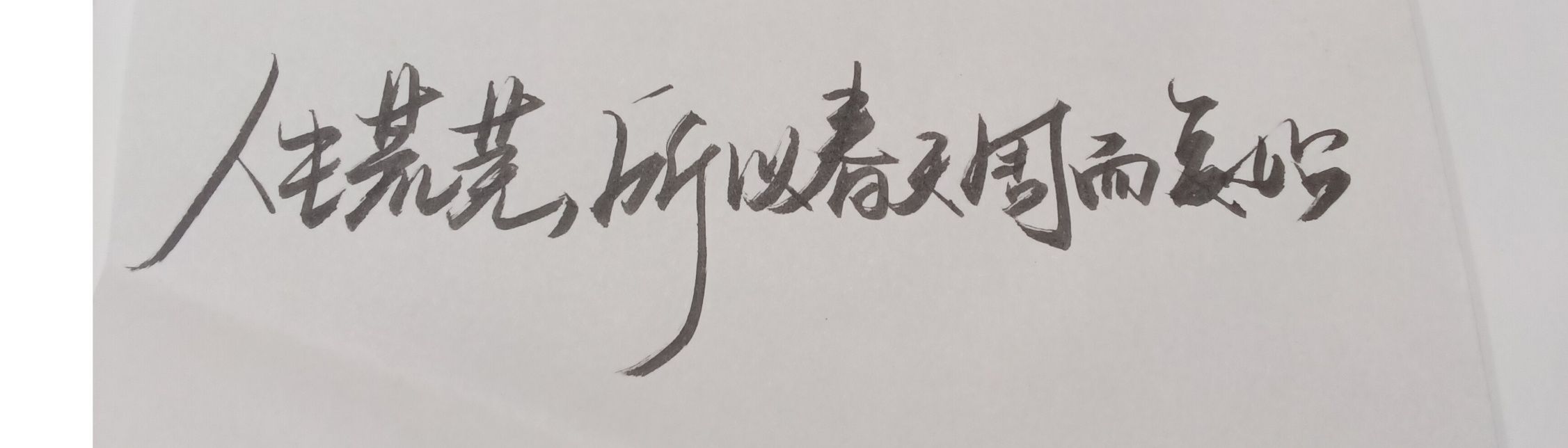 1788961213019.jpg