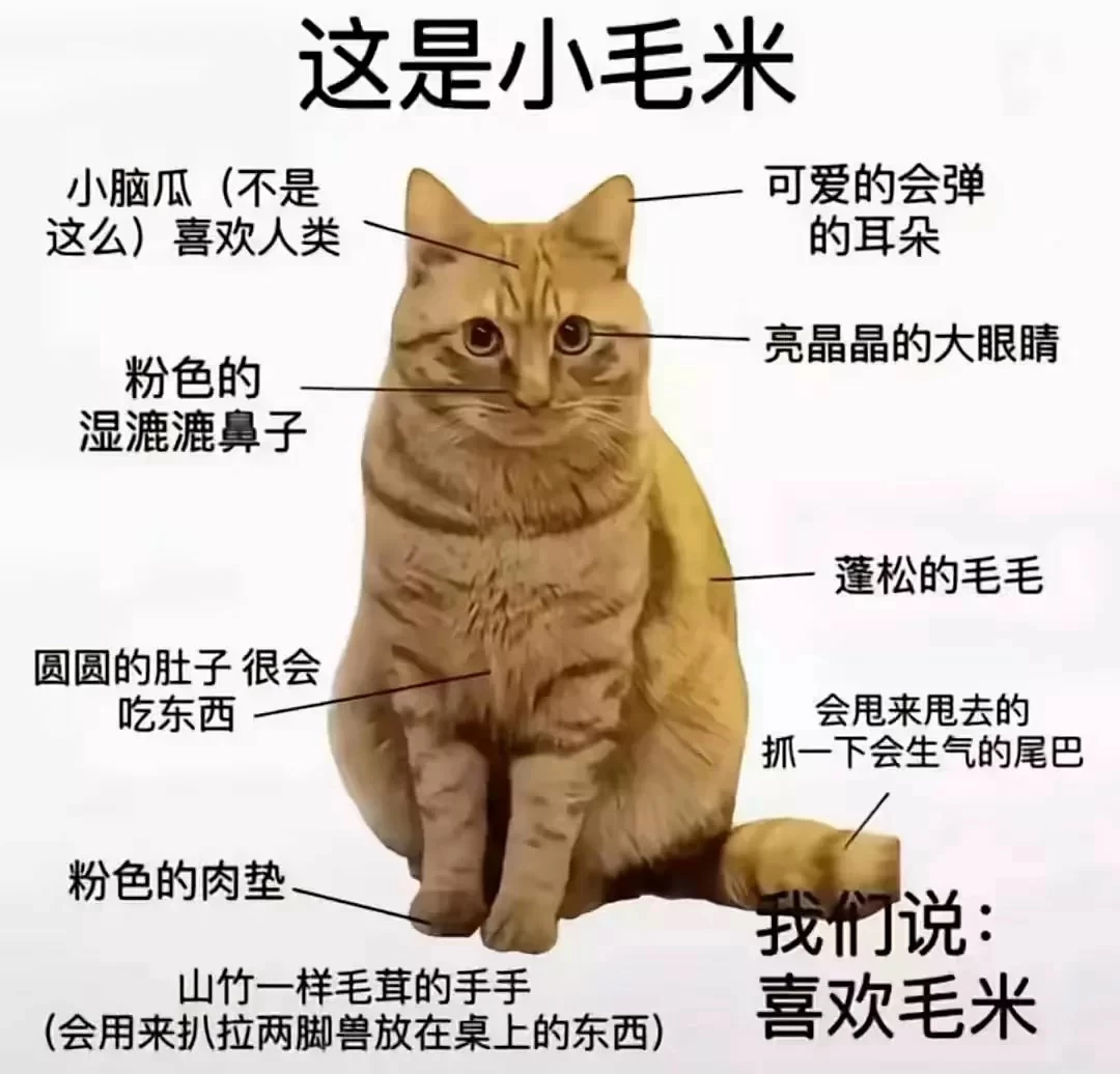 kg_1783950144735_100151.jpg