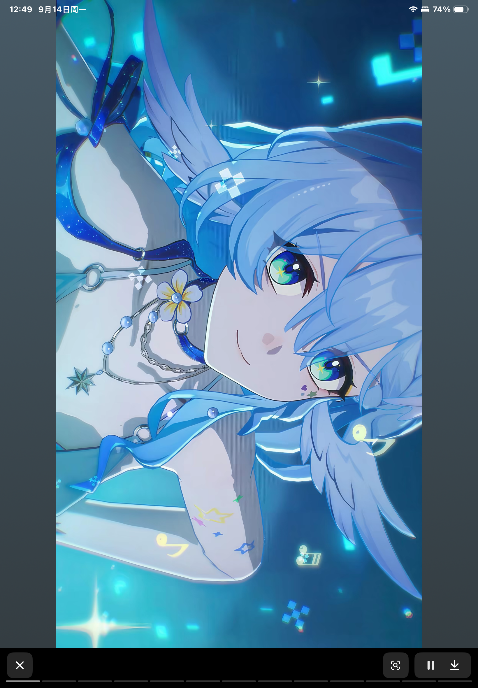 IMG_1235.png