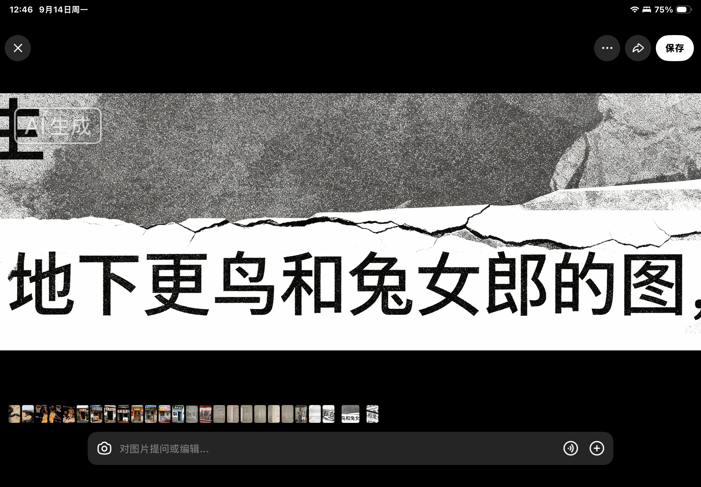 IMG_1233.png