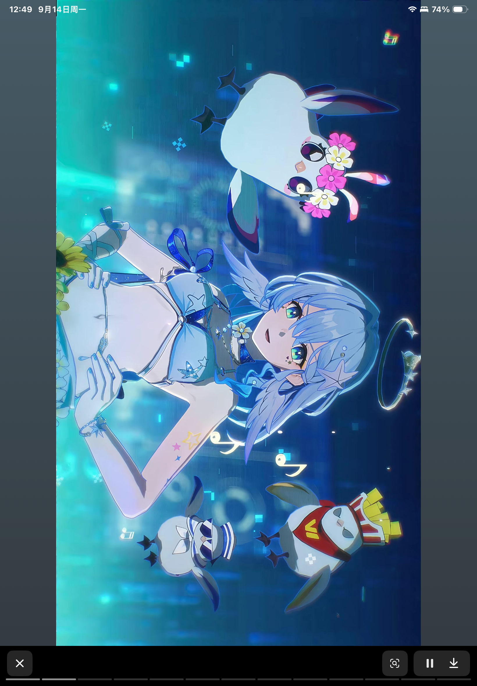 IMG_1236.png