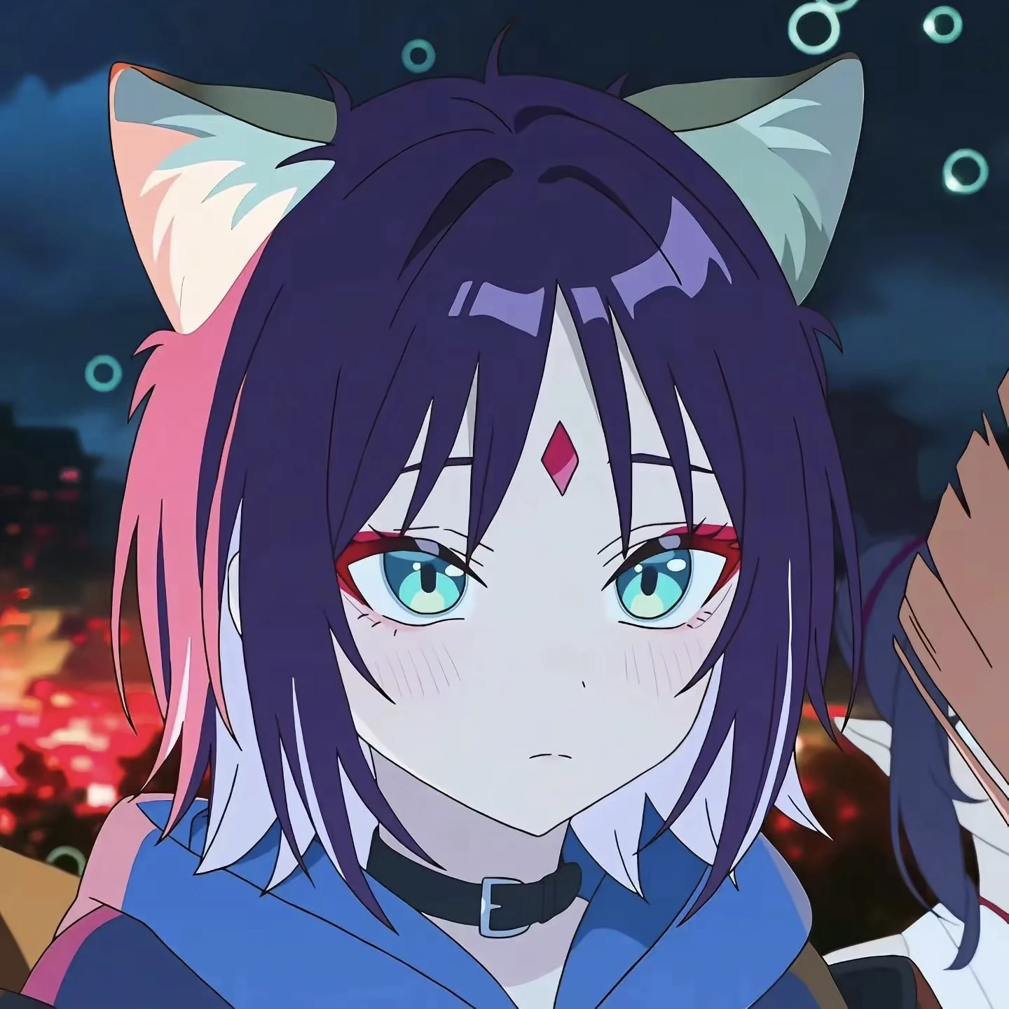 706.jpg